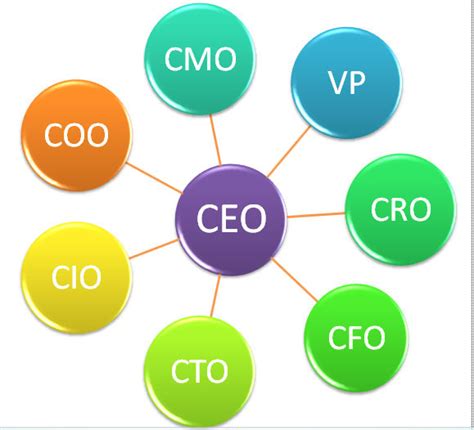 ceo stellung|CEO, CFO, CIO, CMO: veja o significado 